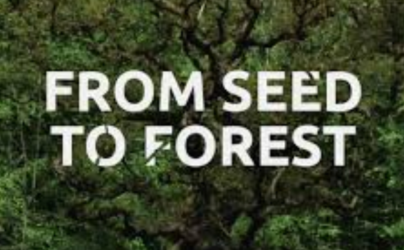 PRESSURE TEST: SEED → FOREST OS