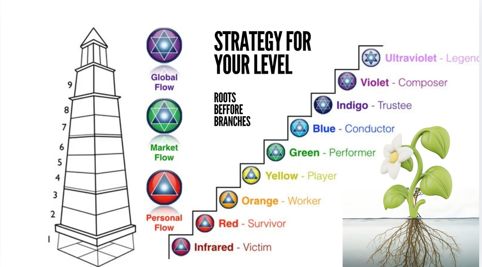 Sovereign vCFO | Creator Money Architect