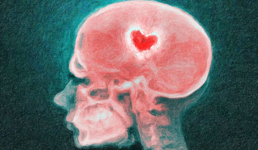 HUMAN-FIRST ATTRACTION™ | Permission-Based Growth for Return on Impact Before Return on Income