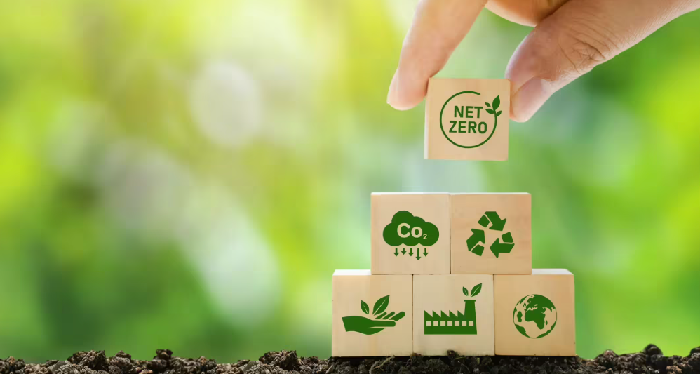 vCOO | Concious Enterprise