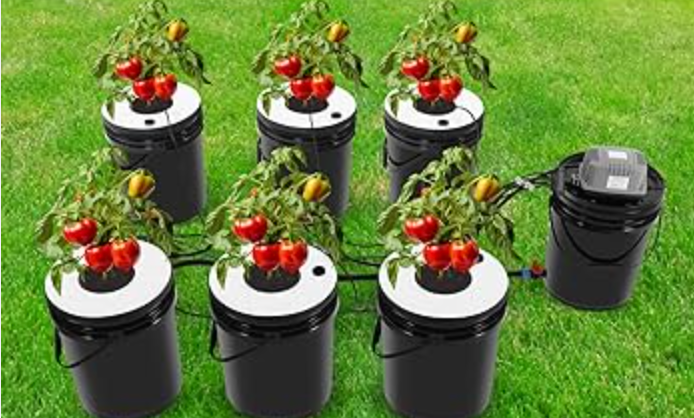 Solopreneur | 5 Step Creator Plan